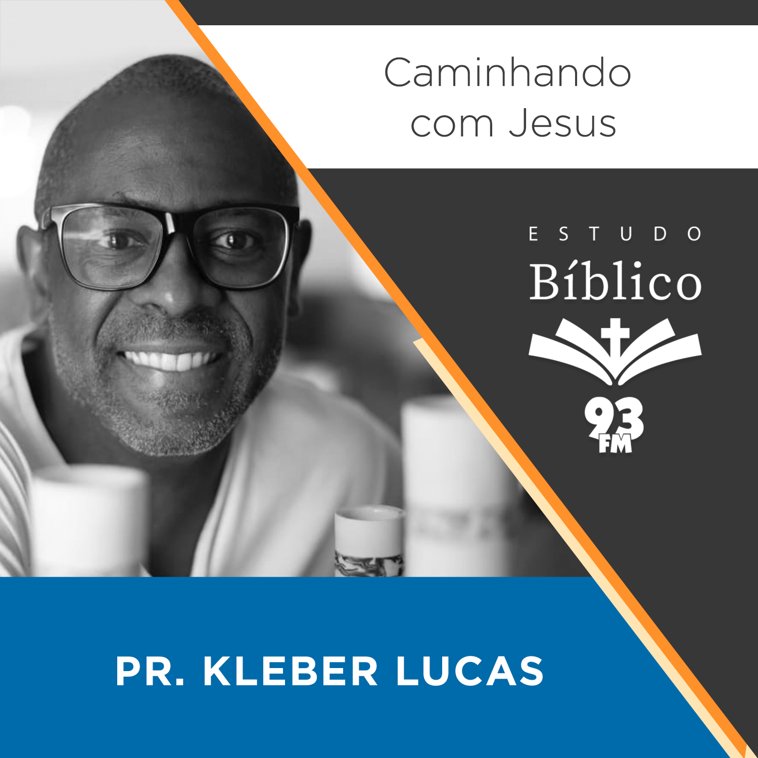 Estudo 93
