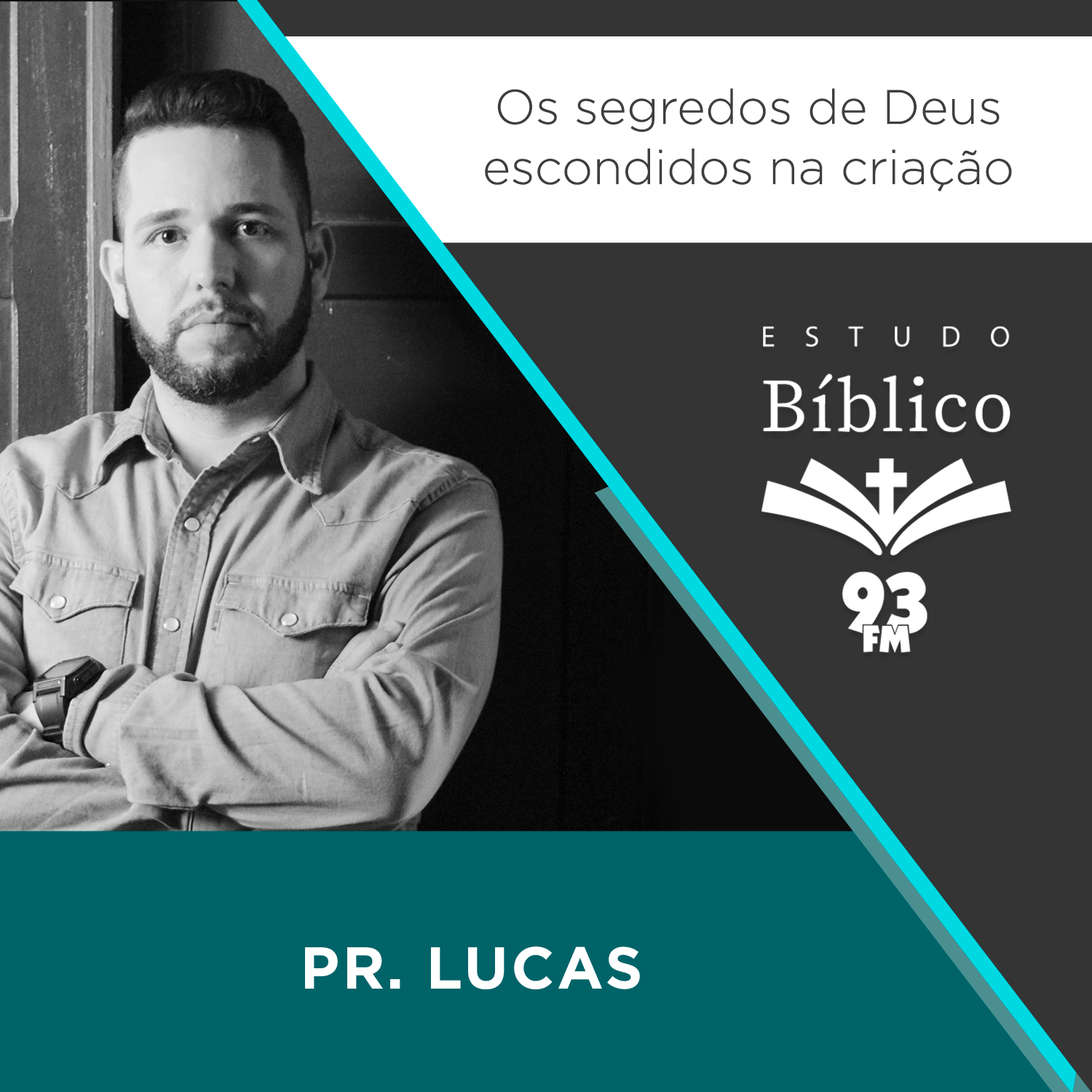 Estudo 93
