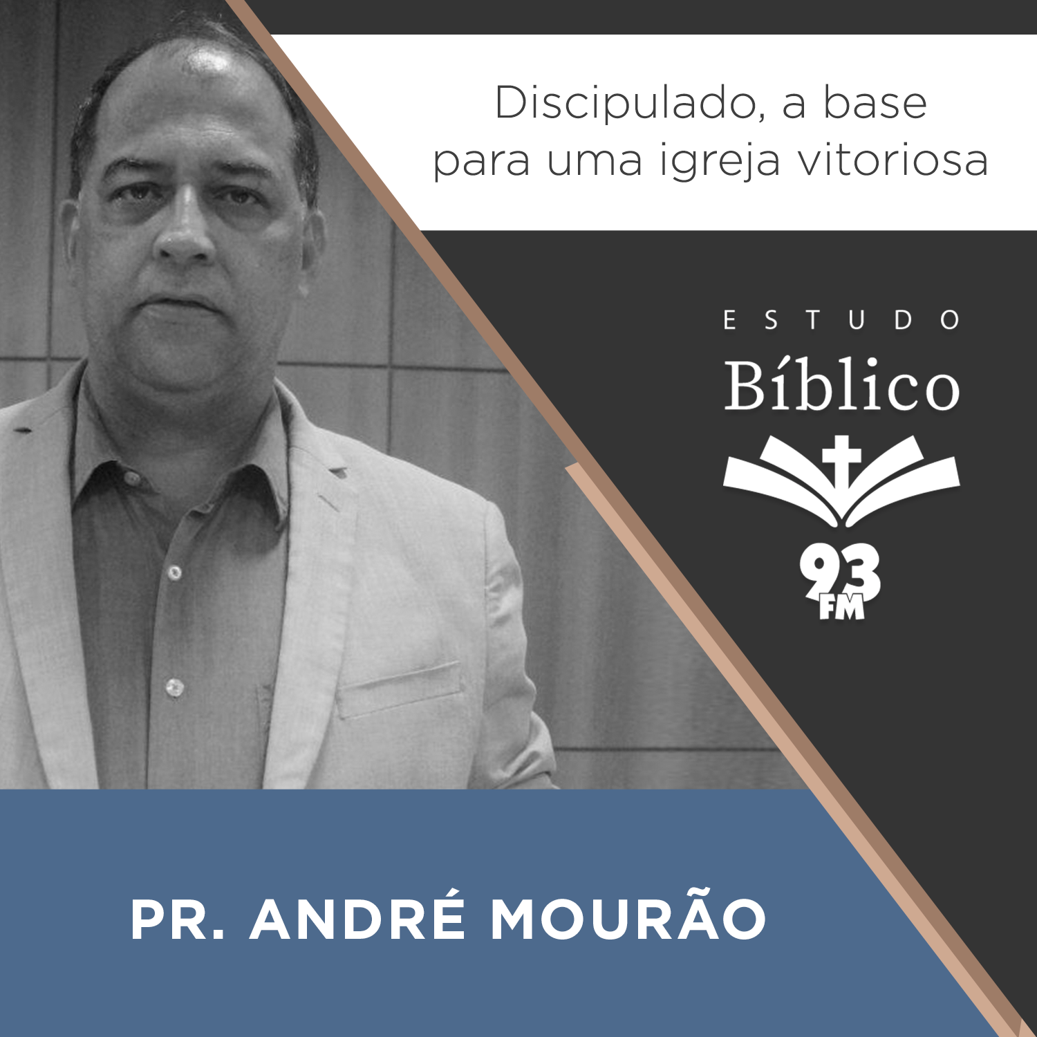 Estudo 93