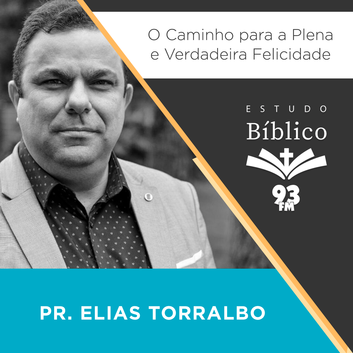 Estudo 93